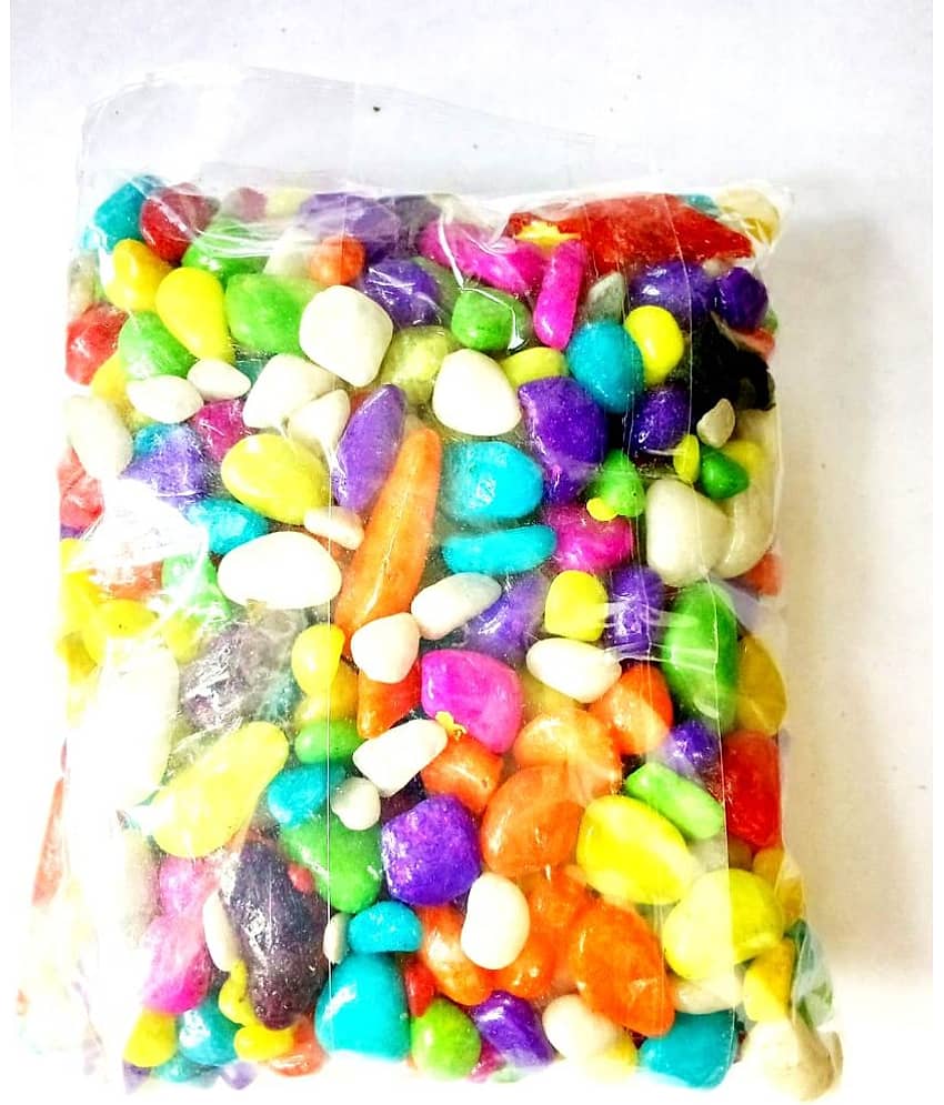 Green plant indoor - Natural Stones