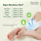 ... ...