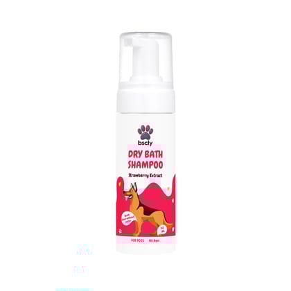 Bscly Dry Bath Foaming Shampoo Strawberry, 120 ml