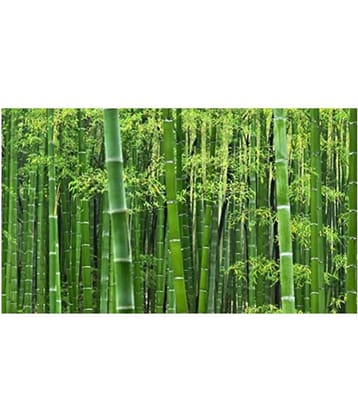Bamboo Tree Se.eds