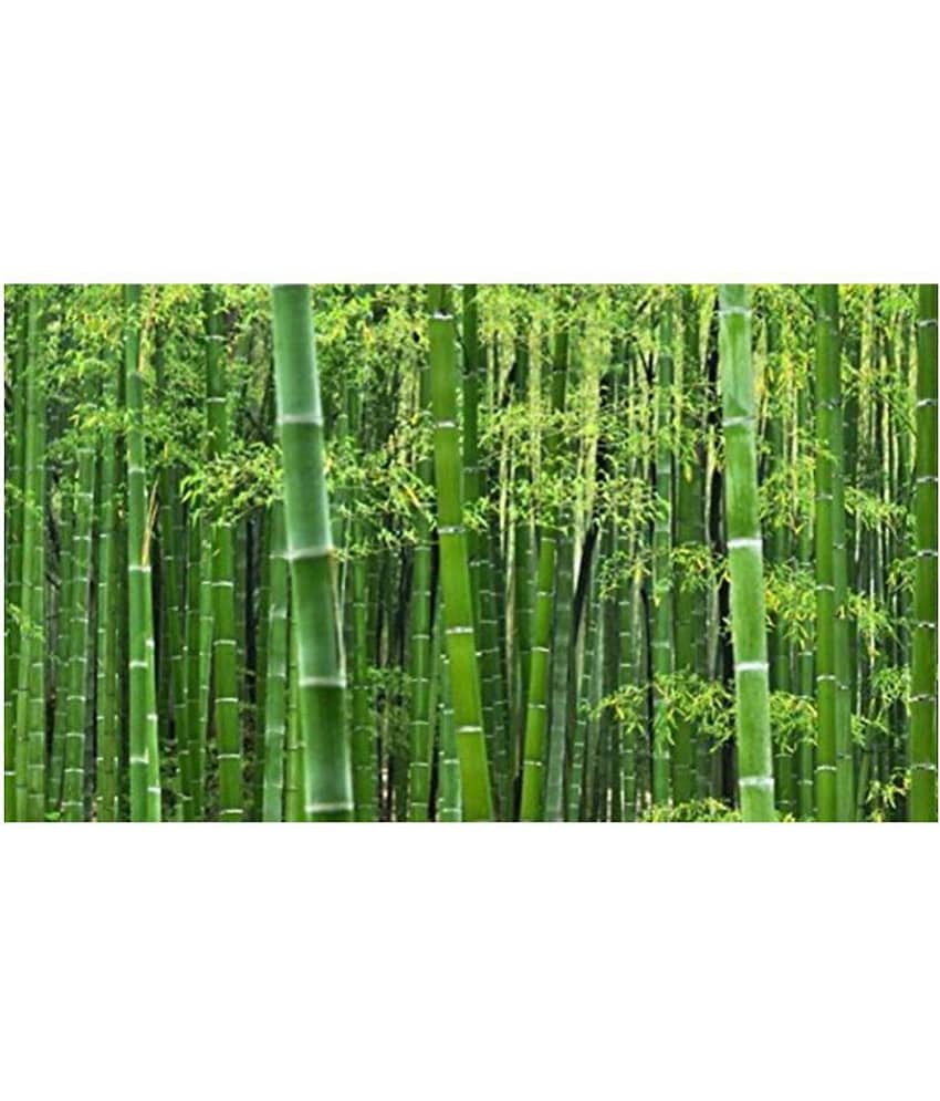 Bamboo Tree Se.eds