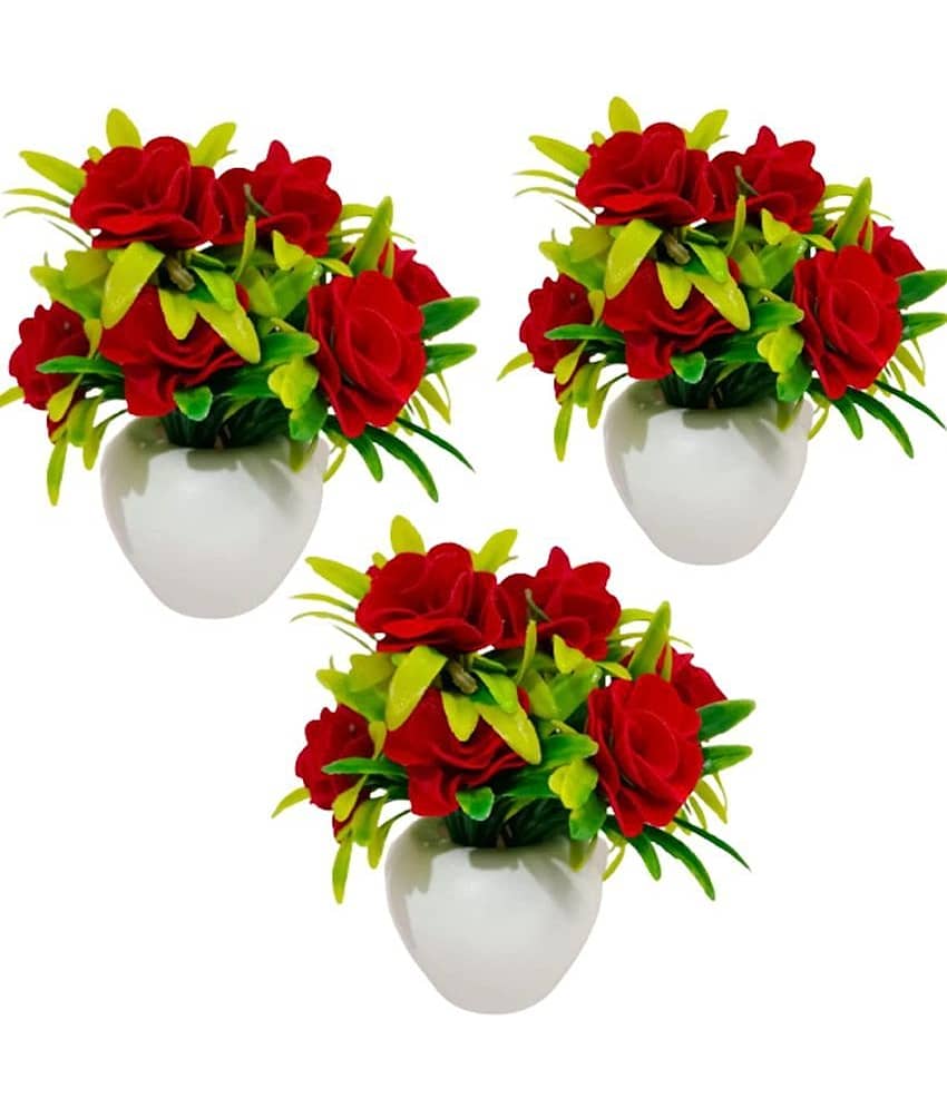 Green plant indoor Rose Multicolour Flowers With Pot - Pack of 3