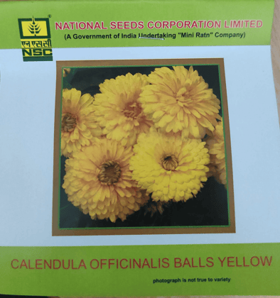 NSC Calendula Officinalis Balls Yellow Flower Seed