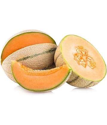 LiveNature Muskmelon/Kharbuja Fruit Seeds | Summer Outdoor Fruit Seeds | Best for Home Garden & Terrace – Pack of 100 Seeds