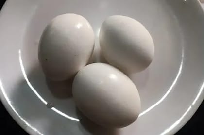 Boiled Egg [4 Eggs]