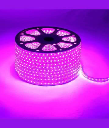 SPARKWORLD Pink 10 Mtr LED Strip ( Pack of 1 )