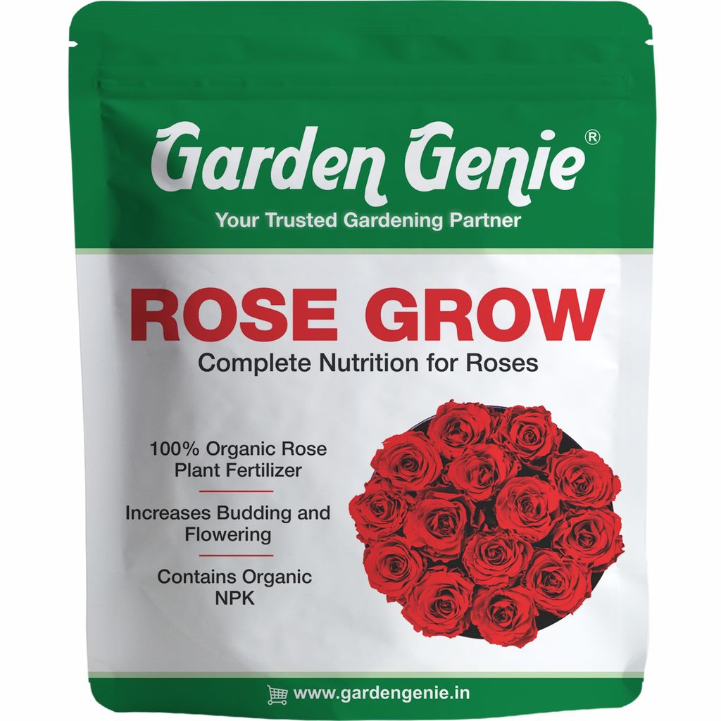 Garden Genie Rose Grow 800 Gm | Organic Plant Food Fertilizer Powder For Rose Plants | Promotes Growth, Flowering, Vibrant Blooms | Rich In Essential Nutrients