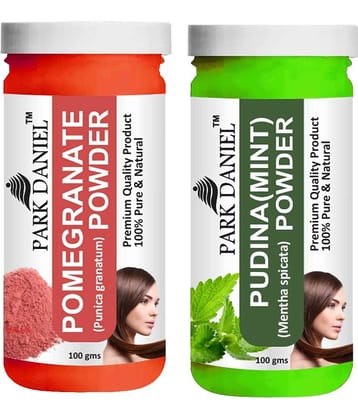 Park Daniel  Pomegranate   & Pudina(Mint)  Powder Hair Mask 200 g Pack of 2