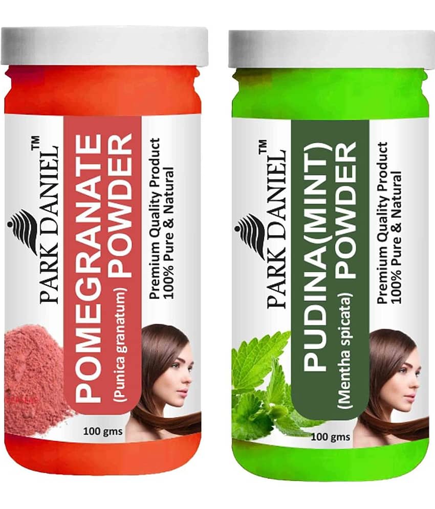 Park Daniel  Pomegranate   & Pudina(Mint)  Powder Hair Mask 200 g Pack of 2