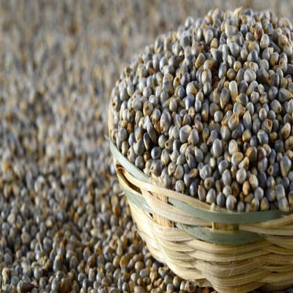 Bajra, 500 gm