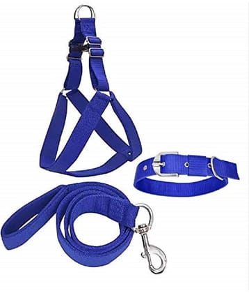 Smart Doggie - Black Dog Combo (Small)