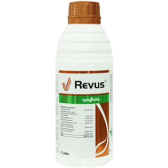 REVUS