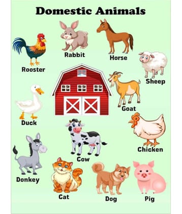 Photojaanic Domestic Animal Poster