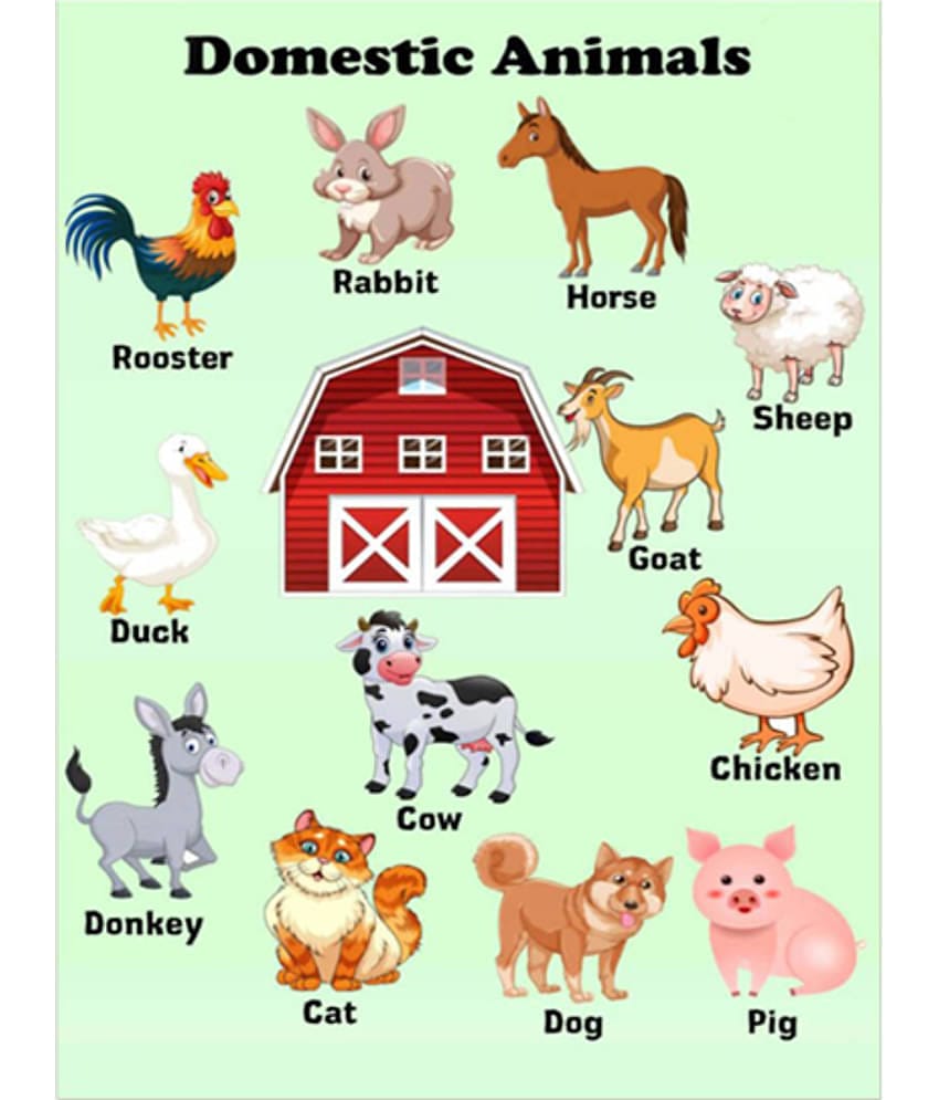 Photojaanic Domestic Animal Poster