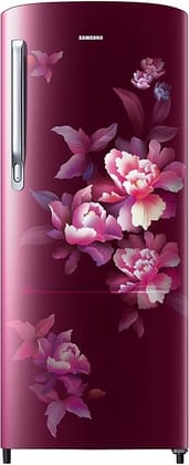 Samsung 183 L, 4 Star, Digital Inverter, Direct-Cool Single Door Refrigerator (RR20C1724HN/HL, Himalaya poppy Blue, 2023 Model)