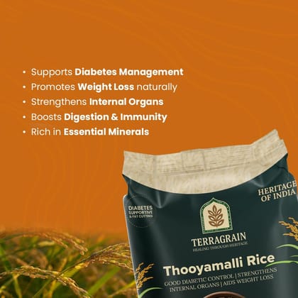 Terragrain Thooyamalli Raw Rice, Traditional South Indian Rice, Aromatic, Soft Texture, Ideal for Daily Meals - 1kg Terragrain Thooyamalli Raw Rice, Traditional South Indian Rice, Aromatic, Soft Texture, Ideal for Daily Meals - 1kg