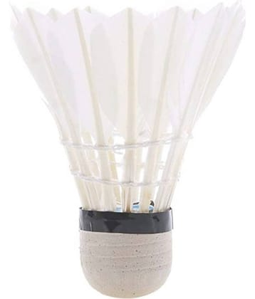 cartszee azee 64545t6bvvc Shuttlecock 10