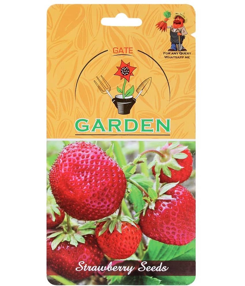 Gate Garden Strawberry Fruit Seeds