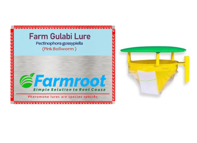 FARM GULABI LURE  WITH FUNNEL TRAP (Pack of 10)