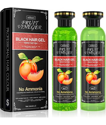 Adbeni Fruit Vinegar Gel Natural Permanent Hair Color 500 g Black
