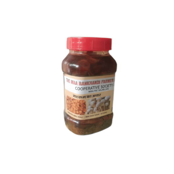 Mushroom Pickle - 500 gm