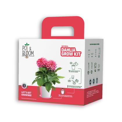 Dahlia Kit