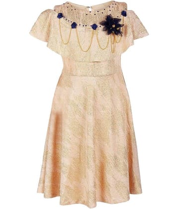 Arshia Fashions Polyester Shift Dress For Girls ( Pack of 1 , Beige )