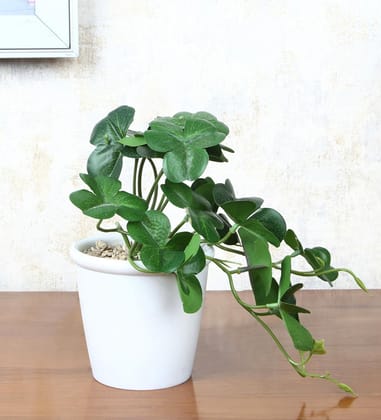 Foliyaj Artificial Clover Plant with Pot |Artificial Plants for Home Decor| Indoor Artificial Plants for Living Room|Potted Artificial Plants