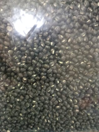 Urad saboot loose 
