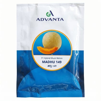 Advanta Madhu 149 F1 Hybrid Musk Melon Seeds 50GM - 50 gm - 50 gm - One seed packet