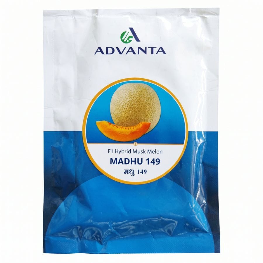 Advanta Madhu 149 F1 Hybrid Musk Melon Seeds 50GM - 50 gm - 50 gm - One seed packet