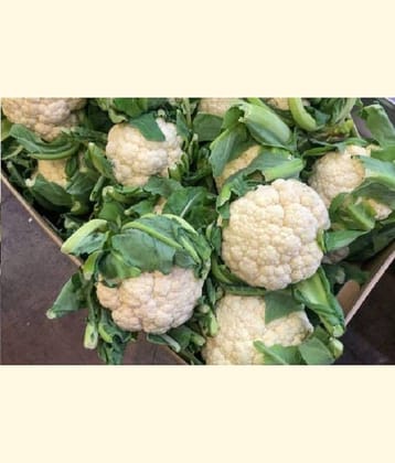 homeagro - Cauliflower Vegetable ( 50 Seeds )