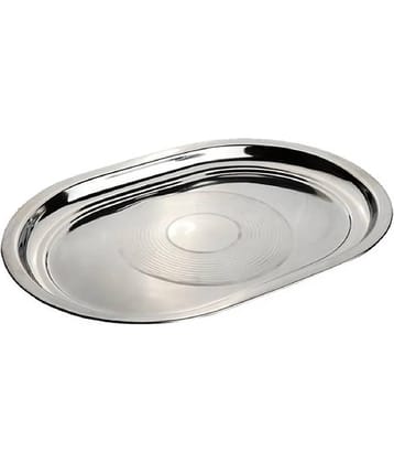 Dynore Serving Tray Stainless Steel Serving Tray 550 ml Silver ( Set of 1 )