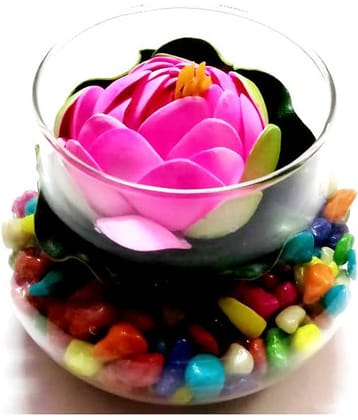 Green plant indoor Lotus Pink Flowers With Pot - Pack of 1