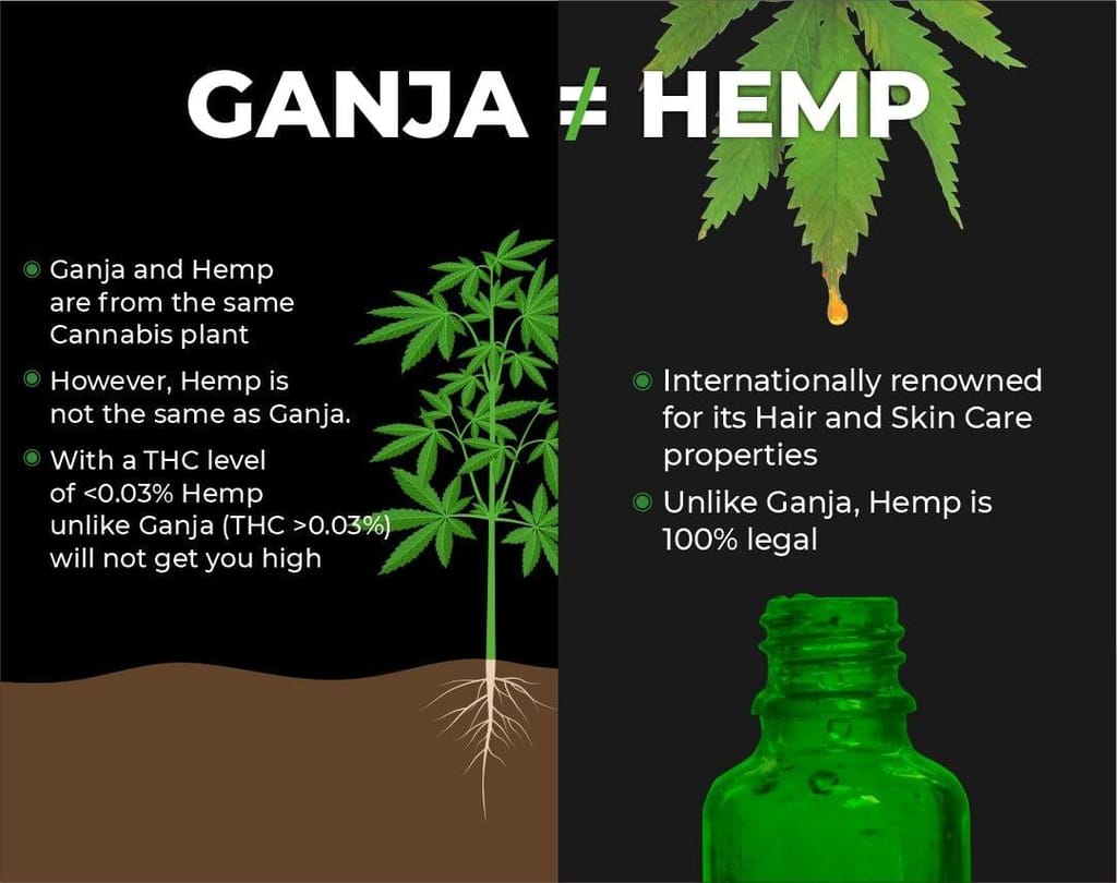 Beardo HEMP Styling Hair Oil For Men