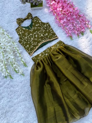 Premium Zimmy-Silk Beautiful Embroidery Lehengha and top-Mahendi / 1 Year