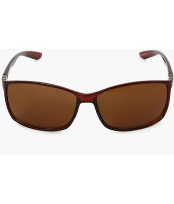 Roadies - Brown Square Sunglasses ( Pack of 1 )
