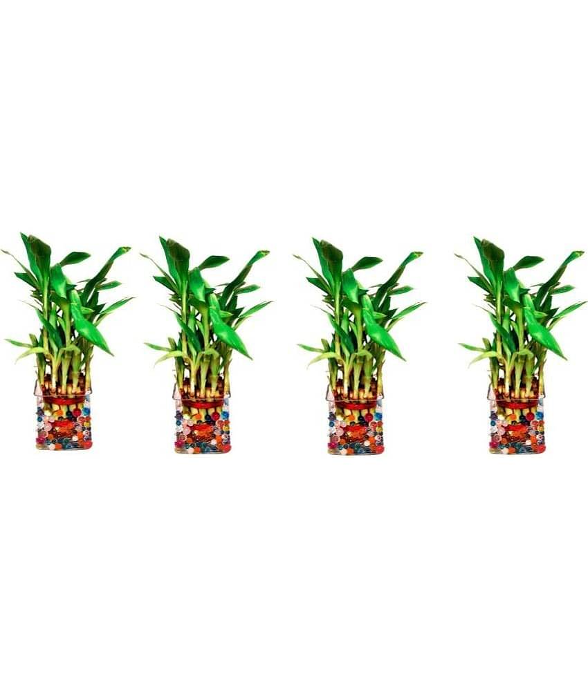 Green plant indoor - Green Wild Artificial Flowers With Pot ( Pack of 4 )