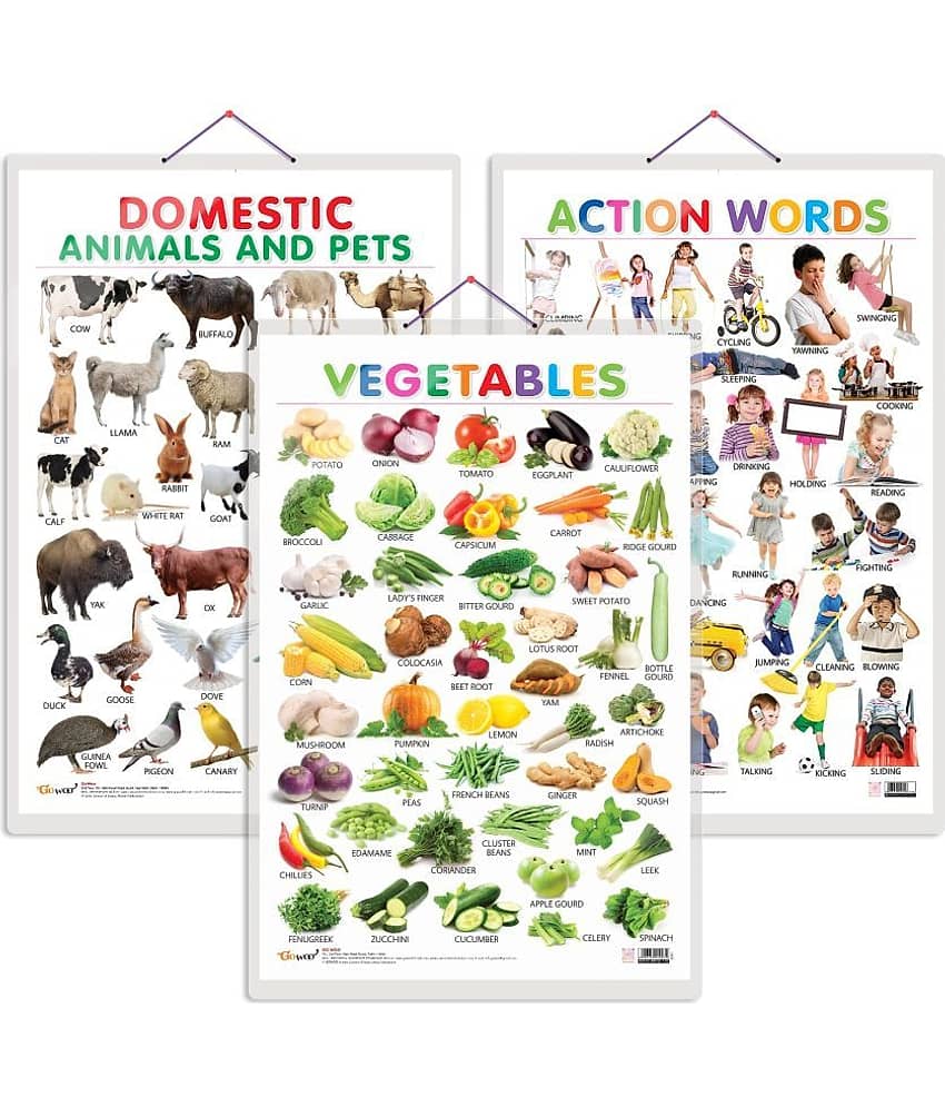 Set of 3 Vegetables, Domestic Animals and Pets and Action Words Early Learning Educational Charts for Kids | 20"X30" inch |Non-Tearable and Waterproof | Double Sided Laminated | Perfect for Homeschooling, Kindergarten and Nursery Students