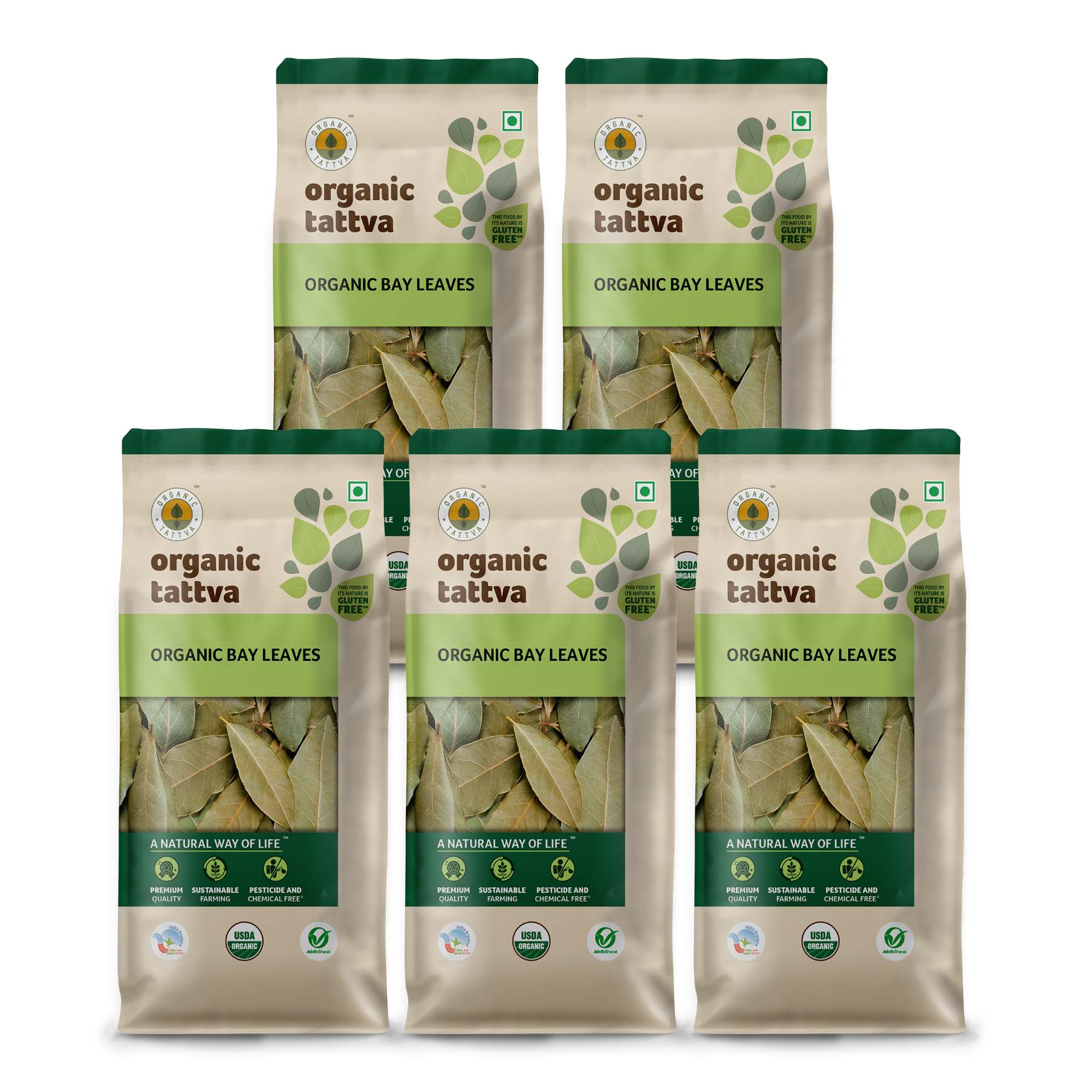 Organic Tattva Organic Bay Leaves - 50g x Pack of 5