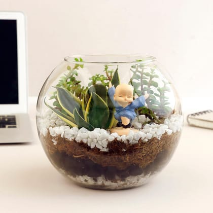 Jade N Milt Sansevieria Plant Glass Vase Terrarium