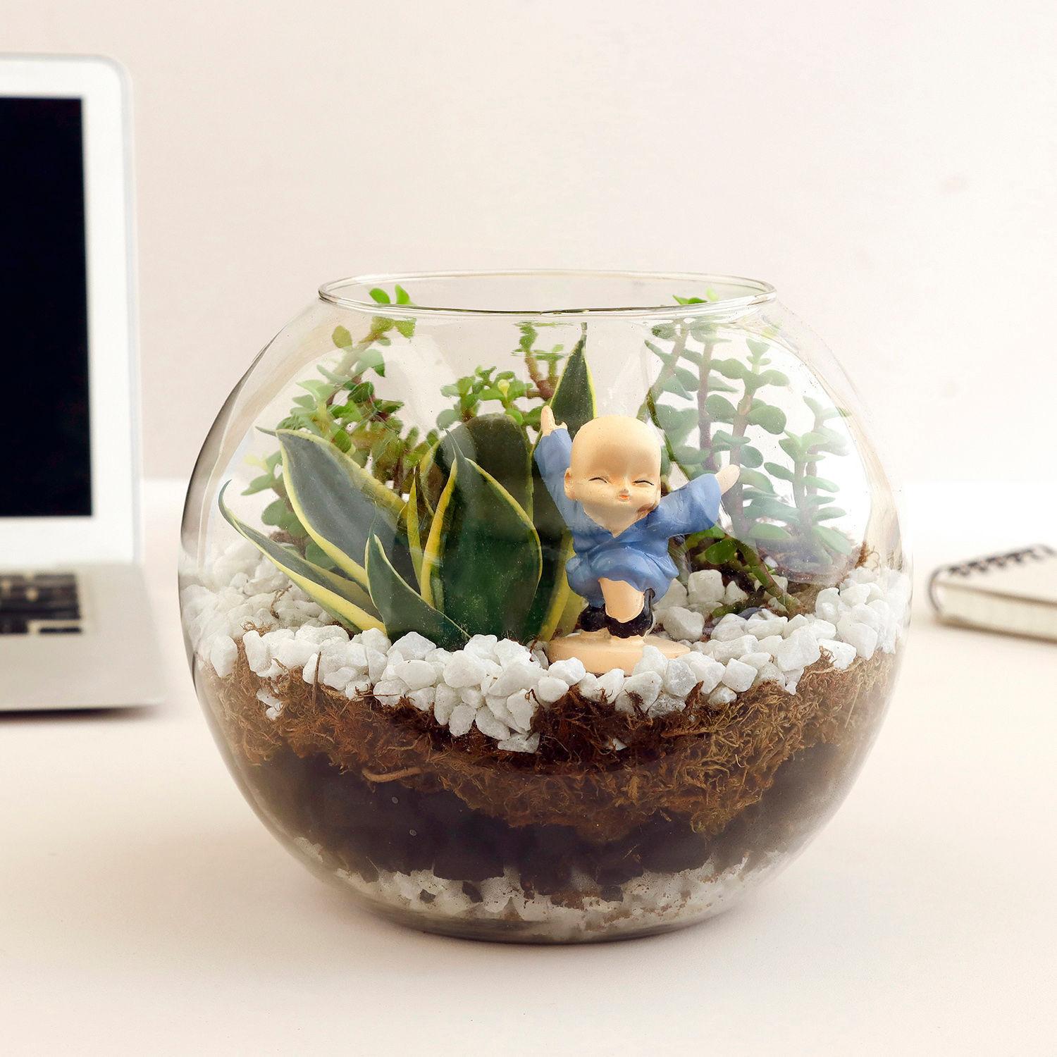 Jade N Milt Sansevieria Plant Glass Vase Terrarium