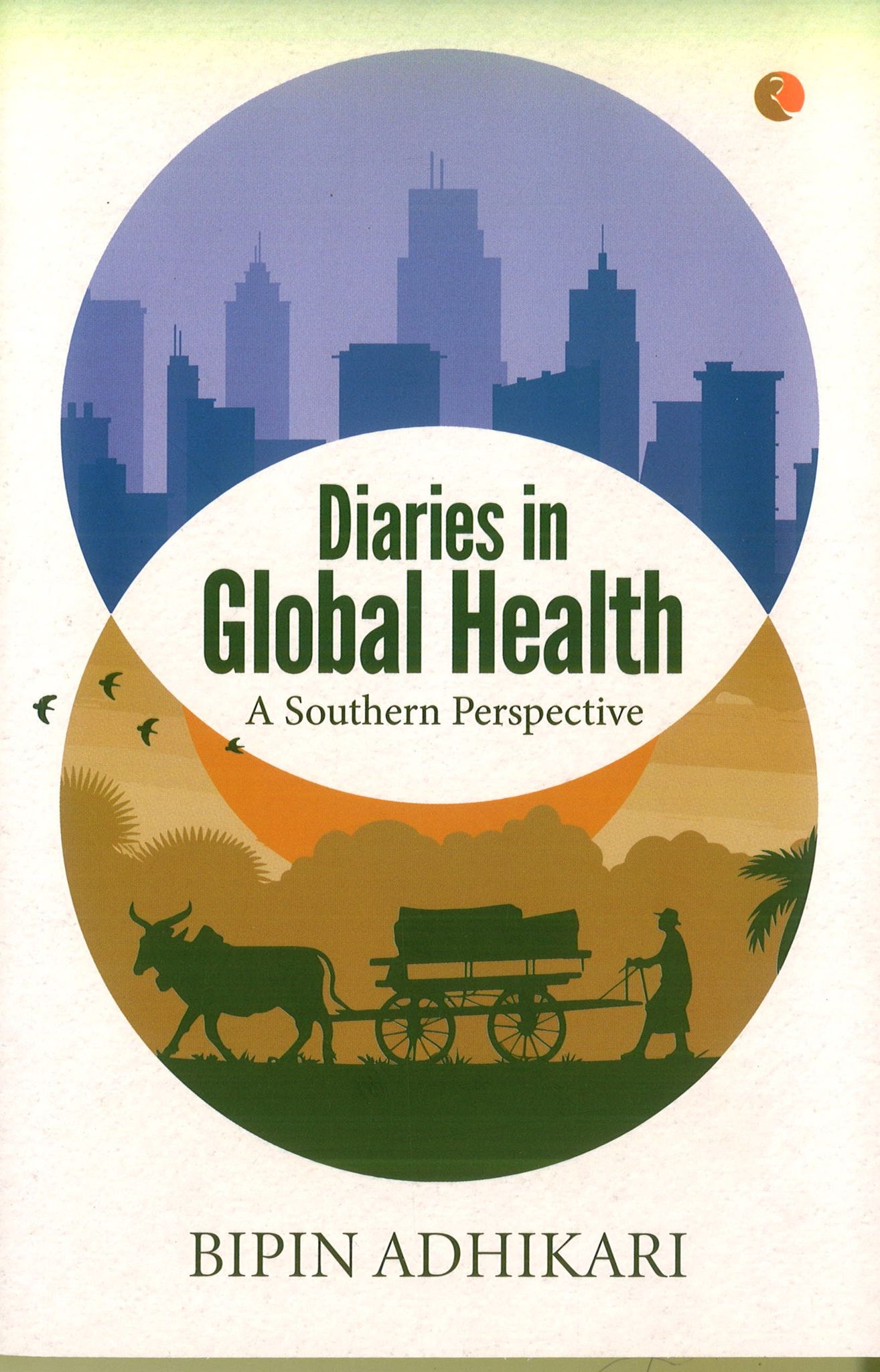 Diaries in Global Health: A Southern Perspective