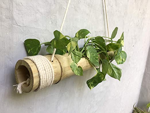 Bamboo Hanging Planter with Disposable Gloves