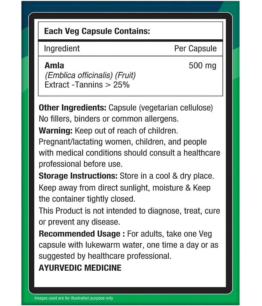NourishVitals Amla Vitamin C with Tannins > 25% Pure Herbs, 500 mg Amla Extract 60 Veg Capsules (Pack Of 3)