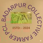 BADARPUR COLLECTIVE