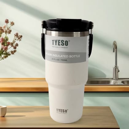 High Quality Stainless Steel Vacuum Glass Insulated Glass Coffee Cups Double Walled Travel Mug, Car Coffee Mug, Tumbler (With Lid & Handle / 1 Pc)_assorted colour