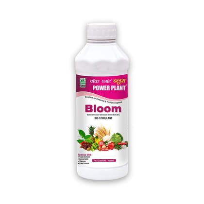 Power Plant Bloom