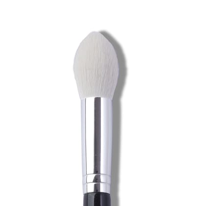 RB19 Small Powder Brush