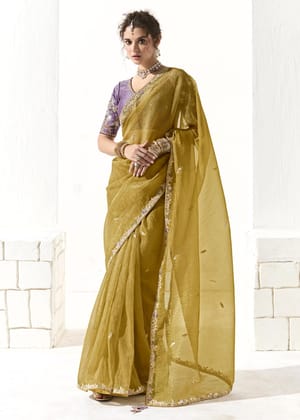 Herbal Green Designer Organza Tissue Silk Saree